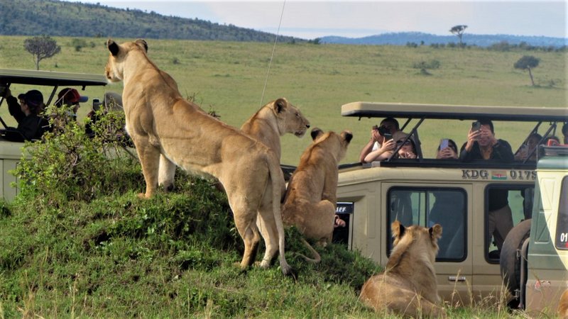 10 days kenya tanzania safari package